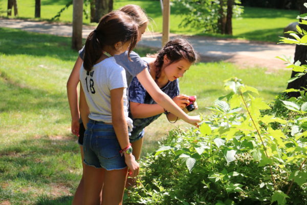 Looking at nature outdoors at camp