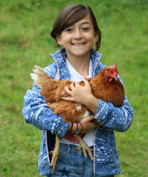 Kippewa camper smiling while holding a chicken